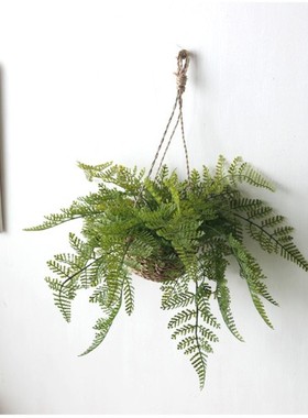 北欧ins高档蕨类仿真植物墙壁装饰藤条绿萝挂花吊篮挂藤家居挂饰