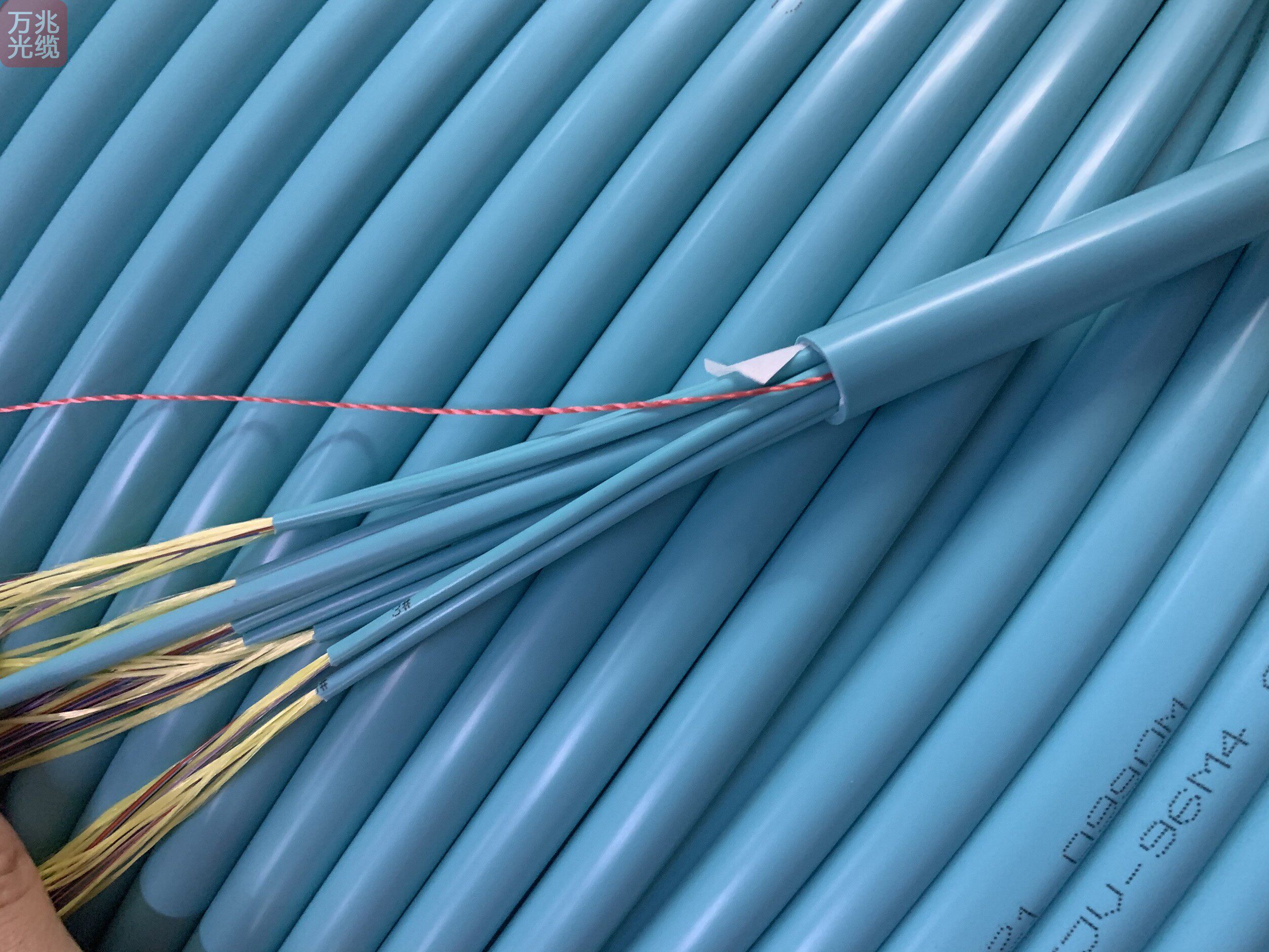 96芯72芯144芯室内多模万兆光缆om3跨距低烟无卤12芯一管分支光缆