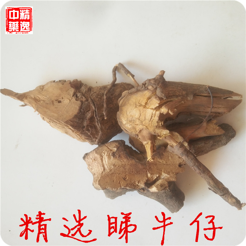 中药材睇牛仔500g包邮苦里根苦李根狐狸根拿柳山黑黎罗根掌牛仔