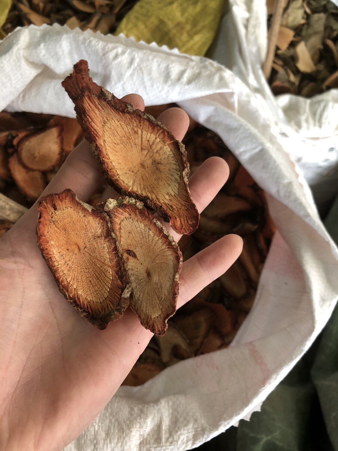 中药材 咸酸根入地龙 大叶酸味根 白花酸藤果根 500克
