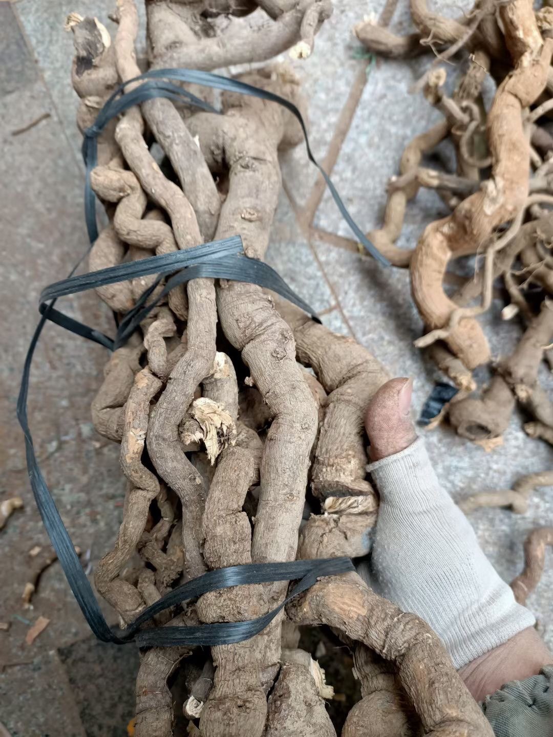 中药材铁牛钻石粒 独行千里 钻石风 石钻子 广香藤 中草药,传统滋补营养品,其他药食同源食品,淘宝优惠券,粉丝福利购,淘宝优惠卷