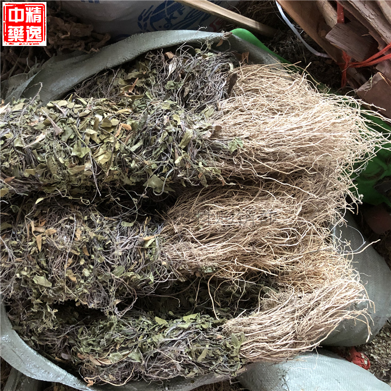 双飞蝴蝶中草药500克包邮 三十六荡 老君须老虎须 三十六根中药材