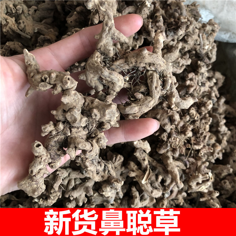 云南苗药腾冲鼻聪草500克苗家中药材淫羊根中草药泡酒料药酒