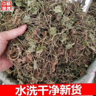 新鲜干货中药材积雪草500g包邮 中草药雷公根崩大碗马蹄草灯盏菜