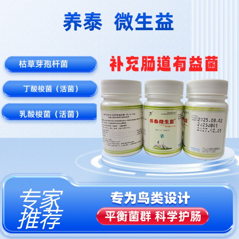 鹦鹉鸟鸽禽 多种肠道有益菌 益生菌 微生益