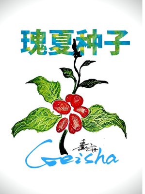 巴拿马瑰夏咖啡种子艺伎种子绿顶瑰夏种子红顶瑰夏 Geisha种子