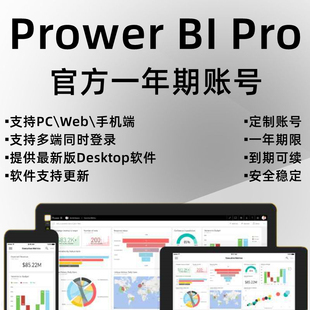 Power BI数据可视化powerbi pro版一年期功能账号 送全套视频教程