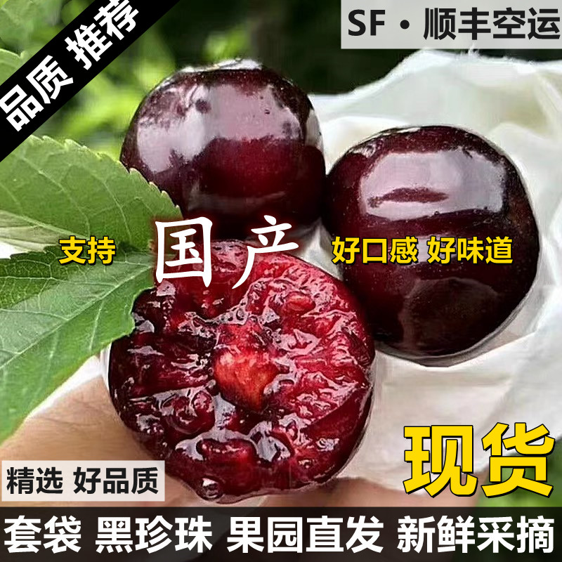 四川新鲜黑珍珠现摘孕妇当季甜果