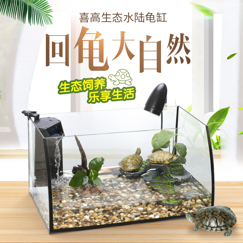 鱼缸客厅小型生态微景观桌面乌龟缸水陆缸迷你水草造景套餐水族箱