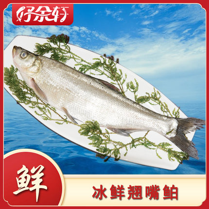 好余轩翘嘴鲌清蒸白鱼刁子鱼大白刁新鲜活杀六条左右净重10斤直发