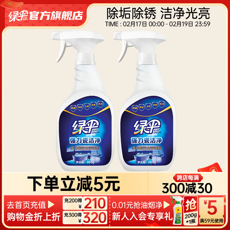 绿伞瓷洁净瓷砖清洁剂卫生间地板砖清洁2瓶家用厕所玻璃去污除垢