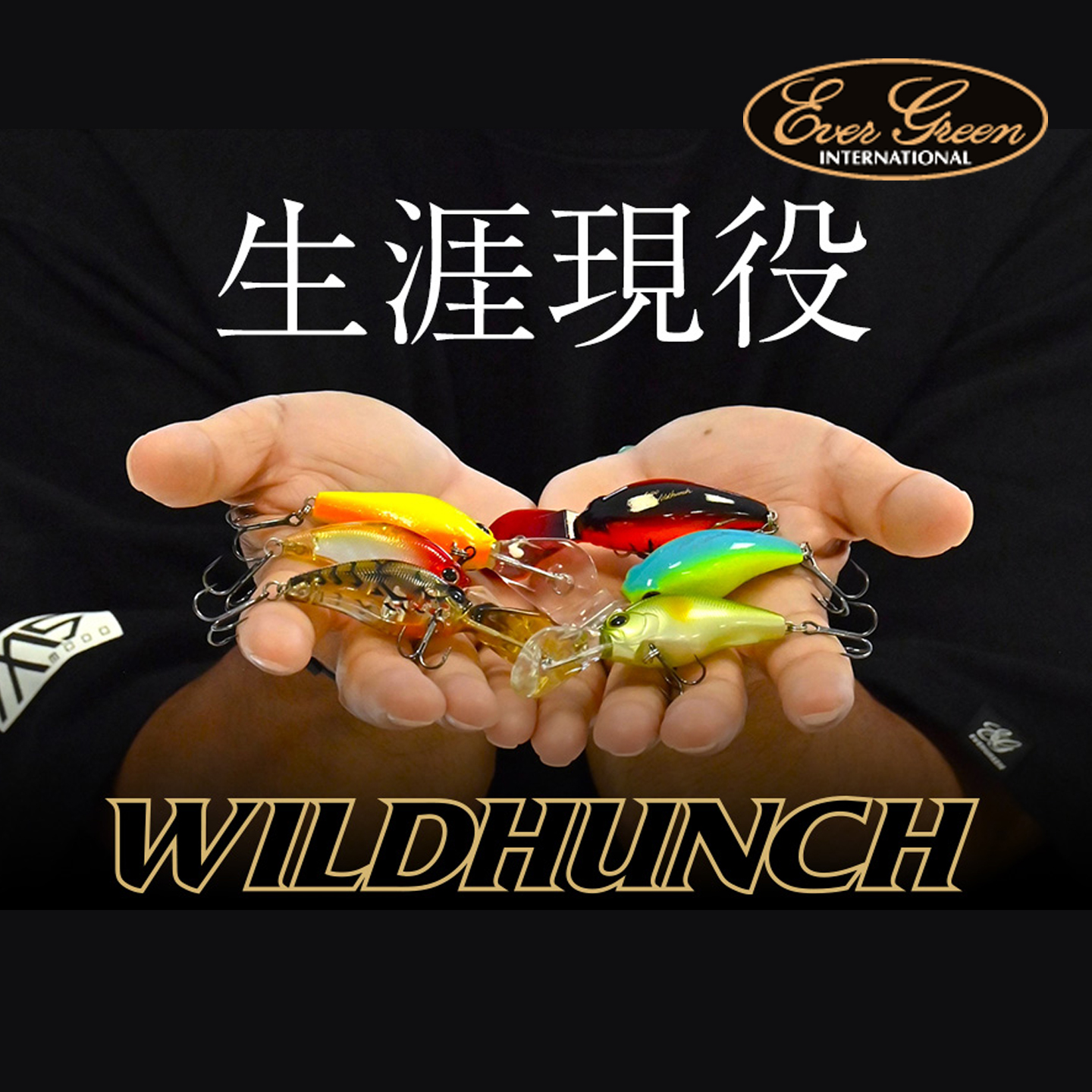 日本EVERGREEN清水盛三深潜CRANK