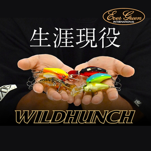 日本EVERGREEN清水盛三深潜CRANK路亚胖子假饵WILD HUNCH鲈鱼9.6g
