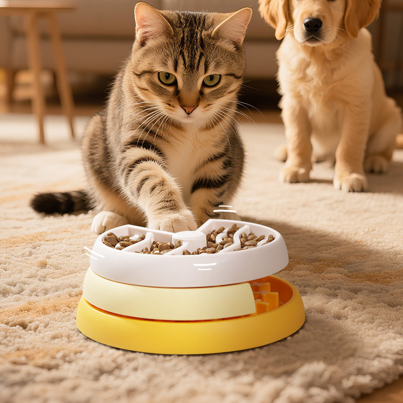 休普宠物层层圈趣食碗慢食碗藏食益智玩具狗狗解闷猫咪独处解闷,宠物/宠物食品及用品,猫狗碗/慢食碗,淘宝优惠券,粉丝福利购,淘宝优惠卷