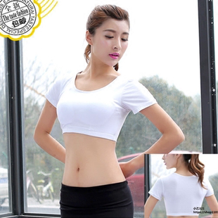 时尚超短款女夏圆领短袖打底衫紧身 瑜伽舞蹈服半截纯棉纯色T恤潮