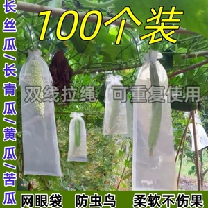 长丝瓜网眼套袋黄瓜青瓜苦瓜套袋专用袋防虫袋保护套瓜果水果瓜果
