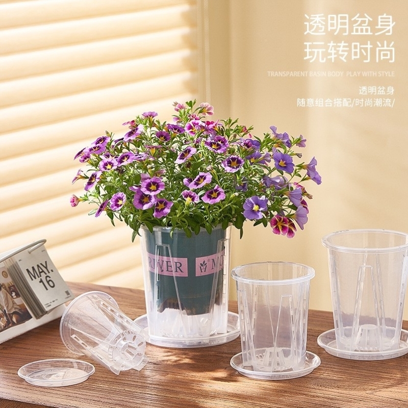 升级卡扣托盘空气柱透明兰花水苔兰花专用花盆透气盆栽青山控根盆