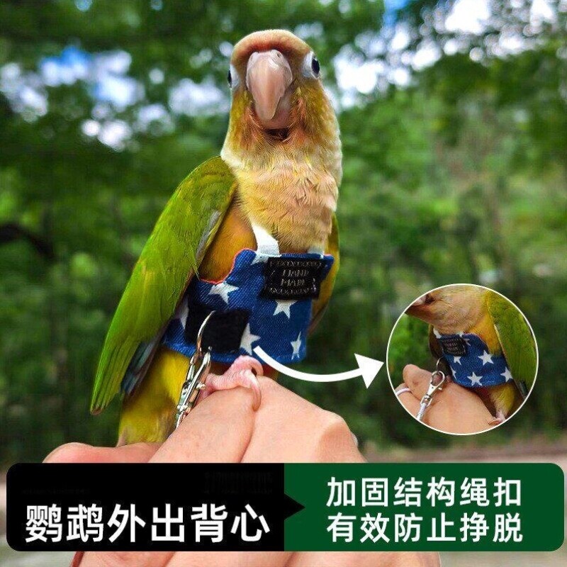 鹦鹉衣服超轻遛鸟神器外出背带玄风虎皮牡丹放飞绳牵引防丢飞行服