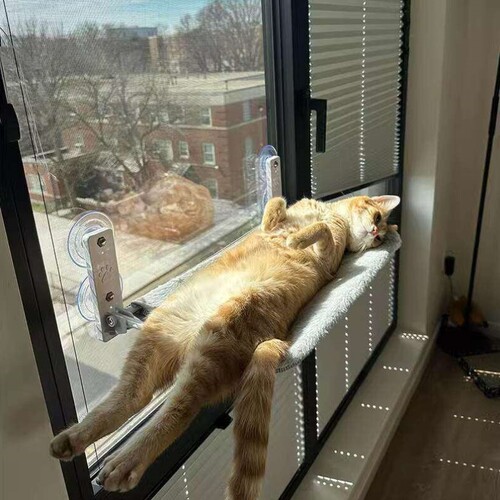 窗户吸盘猫吊床猫窝四季通用悬挂式阳台晒太阳神器宠物猫床睡觉用