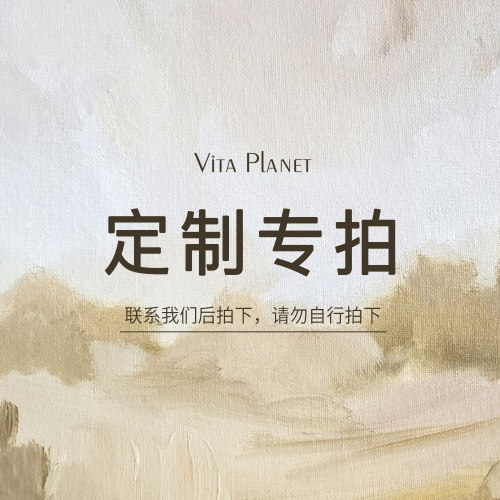 店铺内款式特殊定制链接