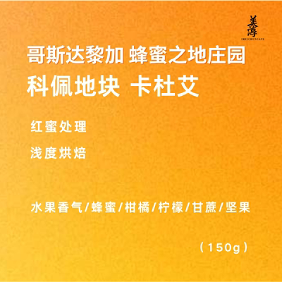 美淳咖啡｜哥斯达黎加蜂蜜之地庄园科佩地块卡杜艾红蜜处理咖啡豆