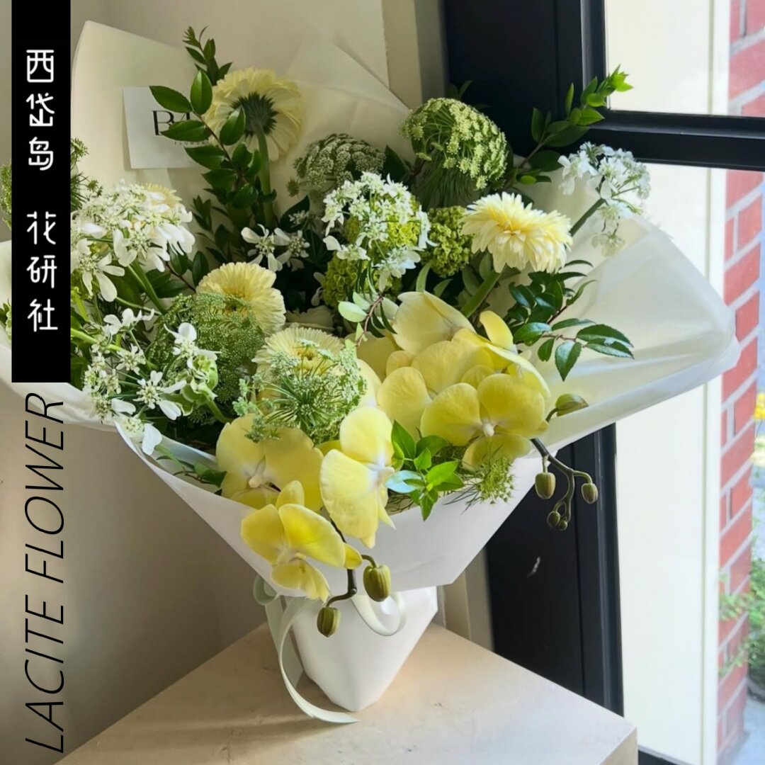 西岱岛|北京当日配送鲜花黄绿色系蝴蝶兰绣球生日礼物祝福花束