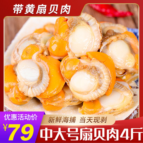 大个带黄新鲜扇贝肉4斤装