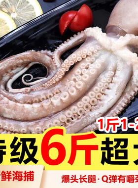 超大长腿八爪鱼新鲜活大章鱼冷冻海鲜水产生鲜整只网红大爆头商用