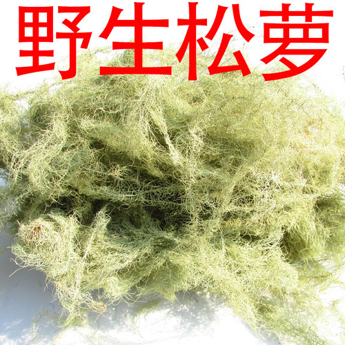 野生松萝松箩女萝高海拔中药材天然氧吧环境松上寄生