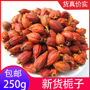 四川野生栀子果黄栀子栀花茶泡茶卤肉上色天然色素山栀子金银花茶