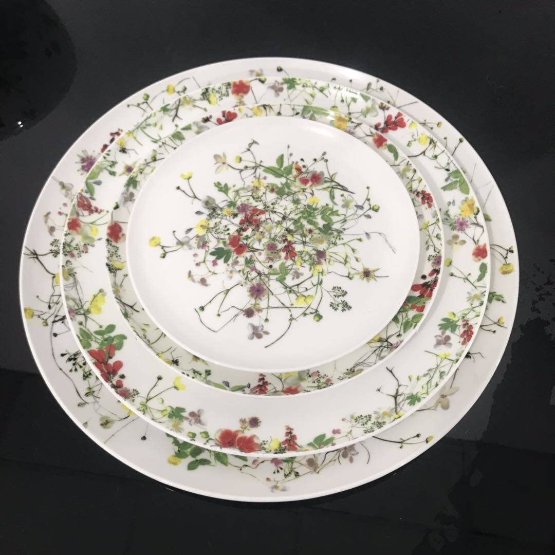 德国品牌卢臣泰骨瓷釉中彩田园风光系列月光盘西餐盘点心水果盘