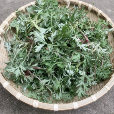 安徽桐城野生嫩蒿新鲜水萩子蒿团