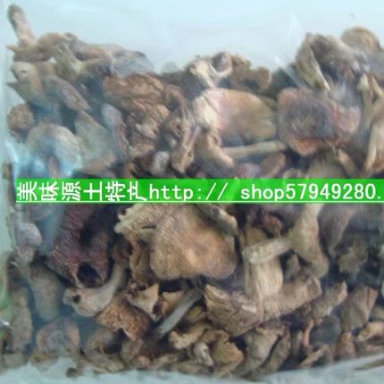 湖南湘西邵阳隆回土特产小沙江原始森林野生菌高山蘑菇农家干菇朵