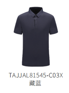 探路者短袖T恤男 新款户外夏季男式运动POLO衫TAJJAL81545-C03X