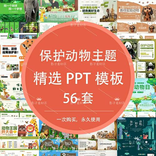 保护珍稀野生动物世界动物保护日关爱生命宣传主题班会PPT模板