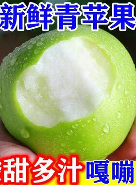 山西运城青苹果酸甜脆爽新鲜水果