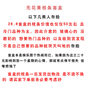 无花果枝条盲盒 零下8度地区勿拍 路上会冻