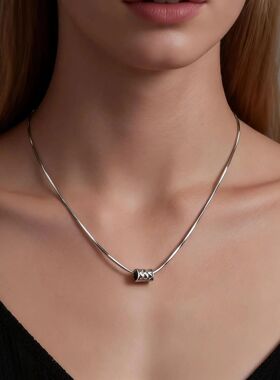 Minimalist Silver Color Necklace, Stainless Steel Snake Chai