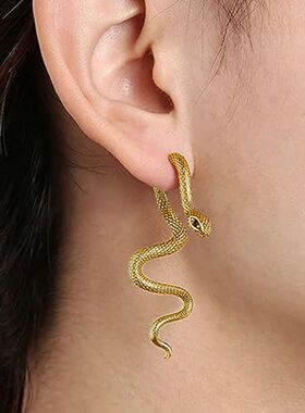 2026 New Gohic Snake Shape Earrings Deachable Texure Darknes