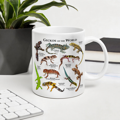 Geckos of the World 世界壁虎创意白色马克杯陶瓷咖啡杯子