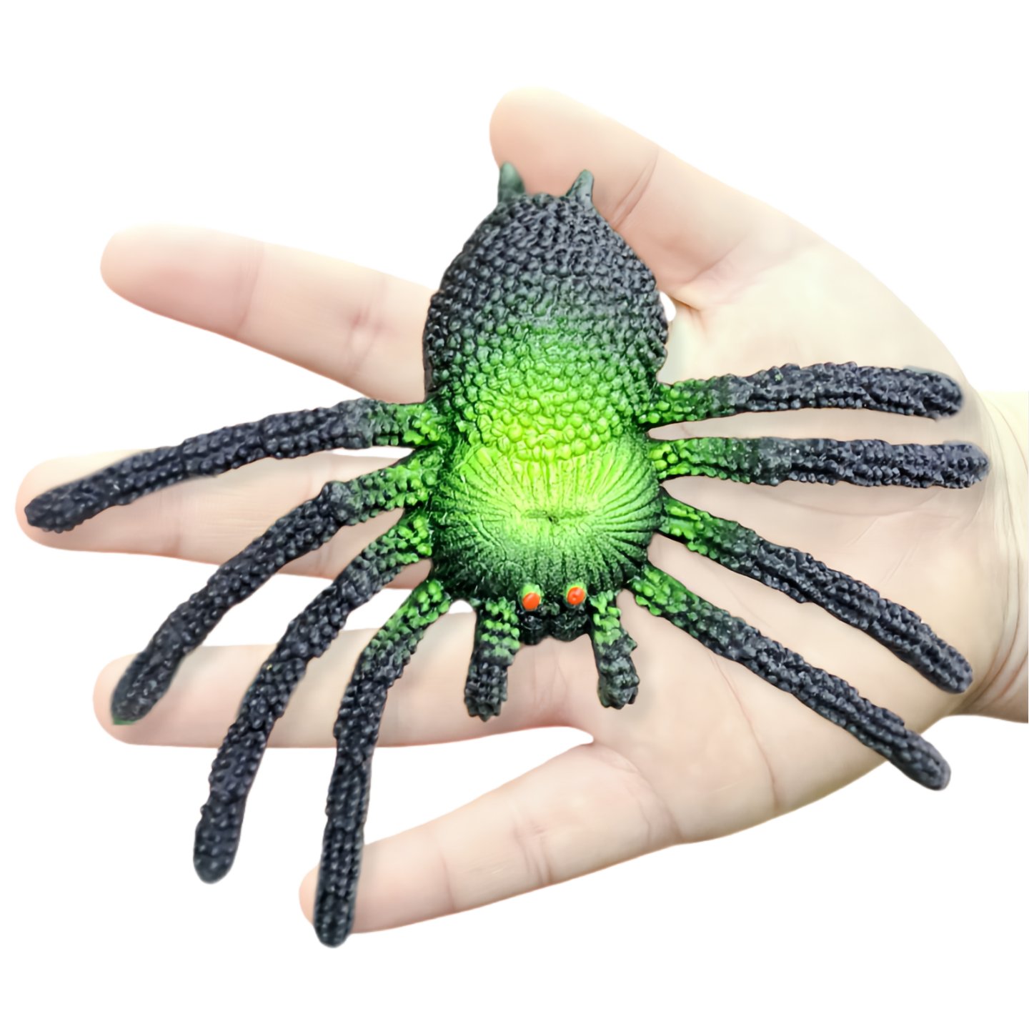软胶仿真彩色大蜘蛛玩具包邮