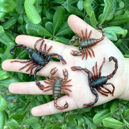 仿真大小蝎子塑胶玩具包邮