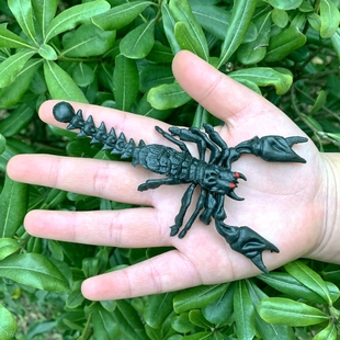 软胶仿真黑蝎子彩色棕色可爱吓人幼儿园儿童玩具静态昆虫动物模型