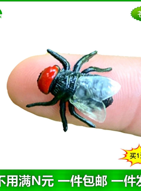 仿真苍蝇整蛊吓人恶搞幼儿园儿童过家家益智玩具塑胶假小昆虫模型