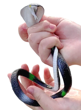 软胶蛇仿真蛇幼儿园儿童玩具眼镜蛇整人吓人橡皮假蛇爬行动物模型