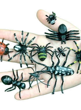 仿真天牛瓢虫大小蜘蛛蚂蚁你幼儿园儿童玩具静态昆虫套装动物模型