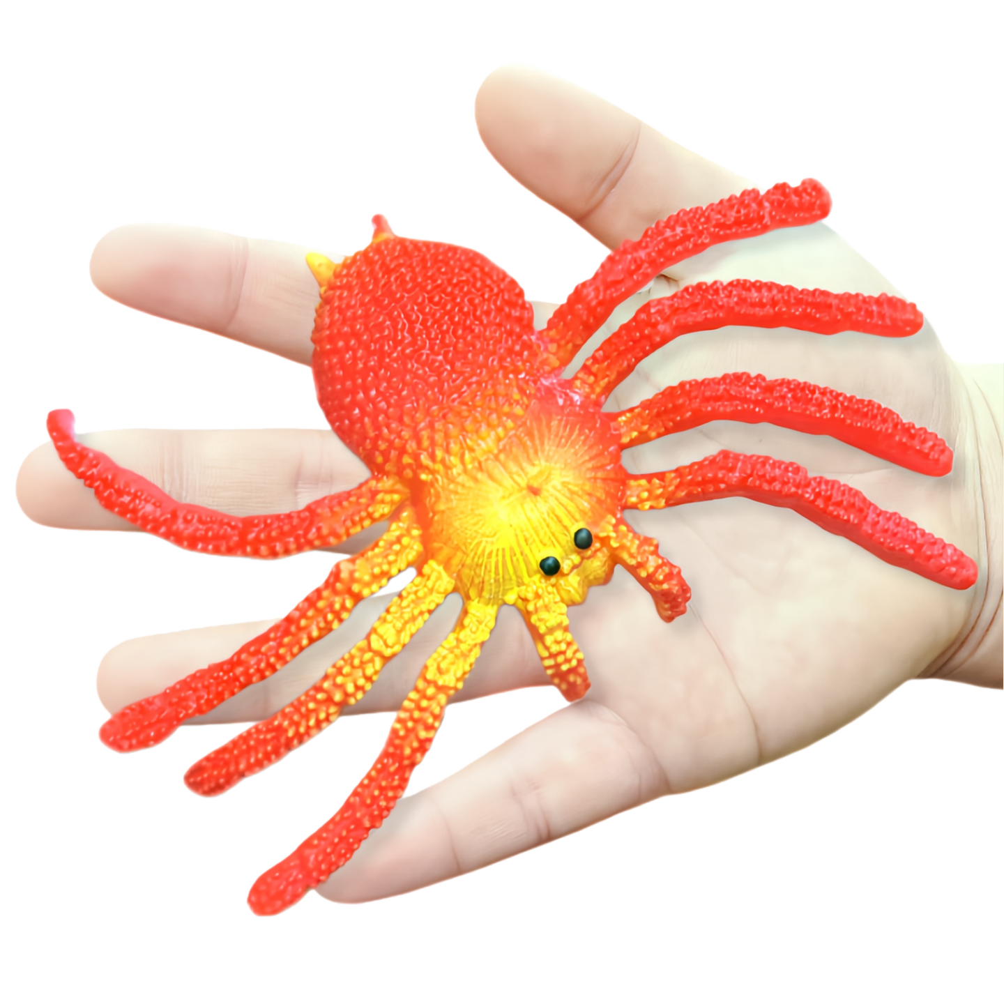 软胶仿真大蜘蛛玩具套装包邮