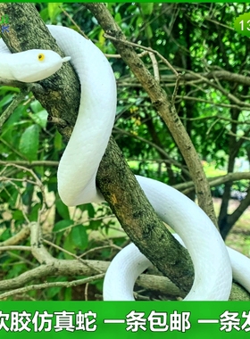 大号软胶仿真蛇玩具蛇白蛇传影视道具白娘子素贞青蛇蟒蛇动物模型