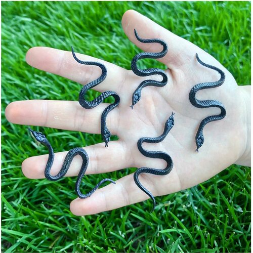 黑色小蛇PVC仿真蛇包邮