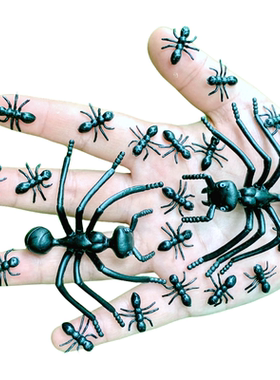 仿真大中小蚂蚁套装幼儿园儿童认知过家家玩具静态假昆虫动物模型